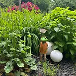 Ferienapartments Engeln Eifel 아파트 *