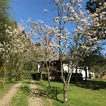 아파트 Ferienapartments Engeln Eifel Kempenich