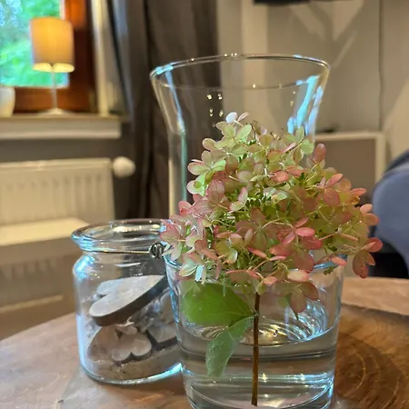 Ferienapartments Engeln Eifel דירה Kempenich