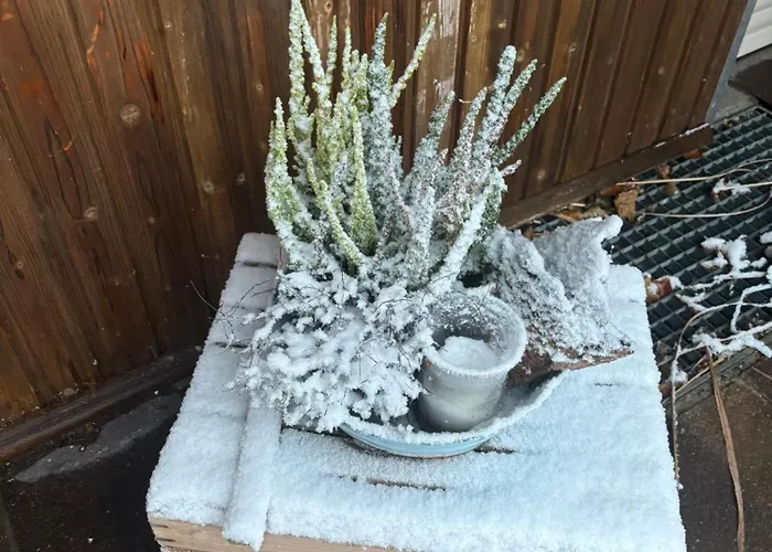 Ferienapartments Engeln Eifel Apartament *