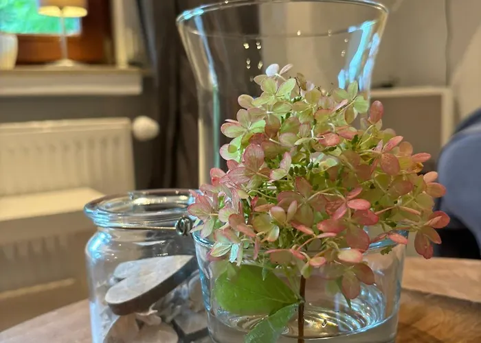 Ferienapartments Engeln Eifel Apartment Kempenich