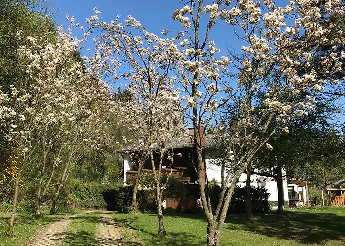 Apartment Ferienapartments Engeln Eifel Kempenich